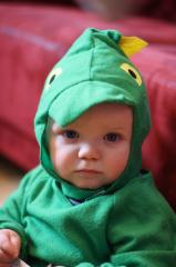 der_kleine_drache.jpg